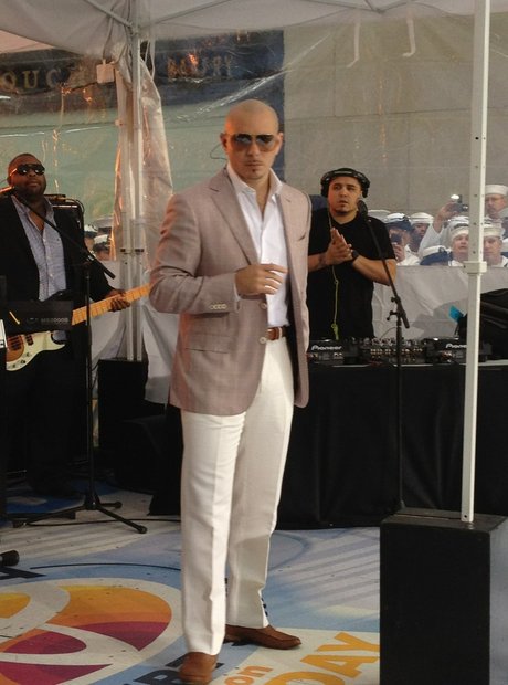 Pitbull