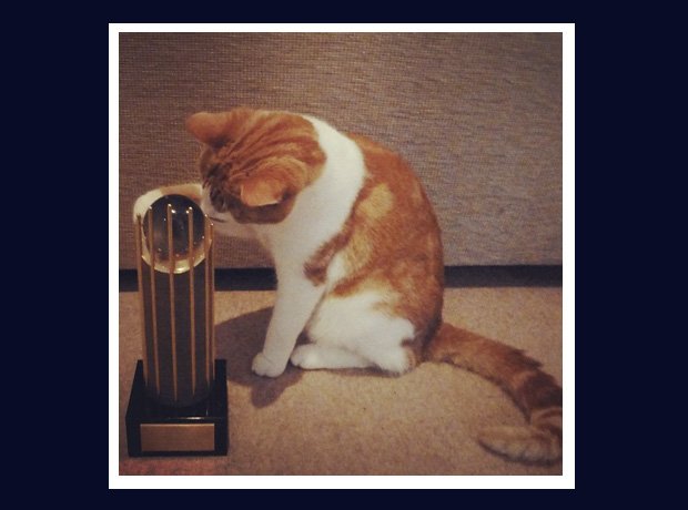 Disclosure cat with Mercury Prize award