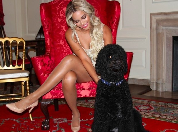Beyonce With Dog Tumblr
