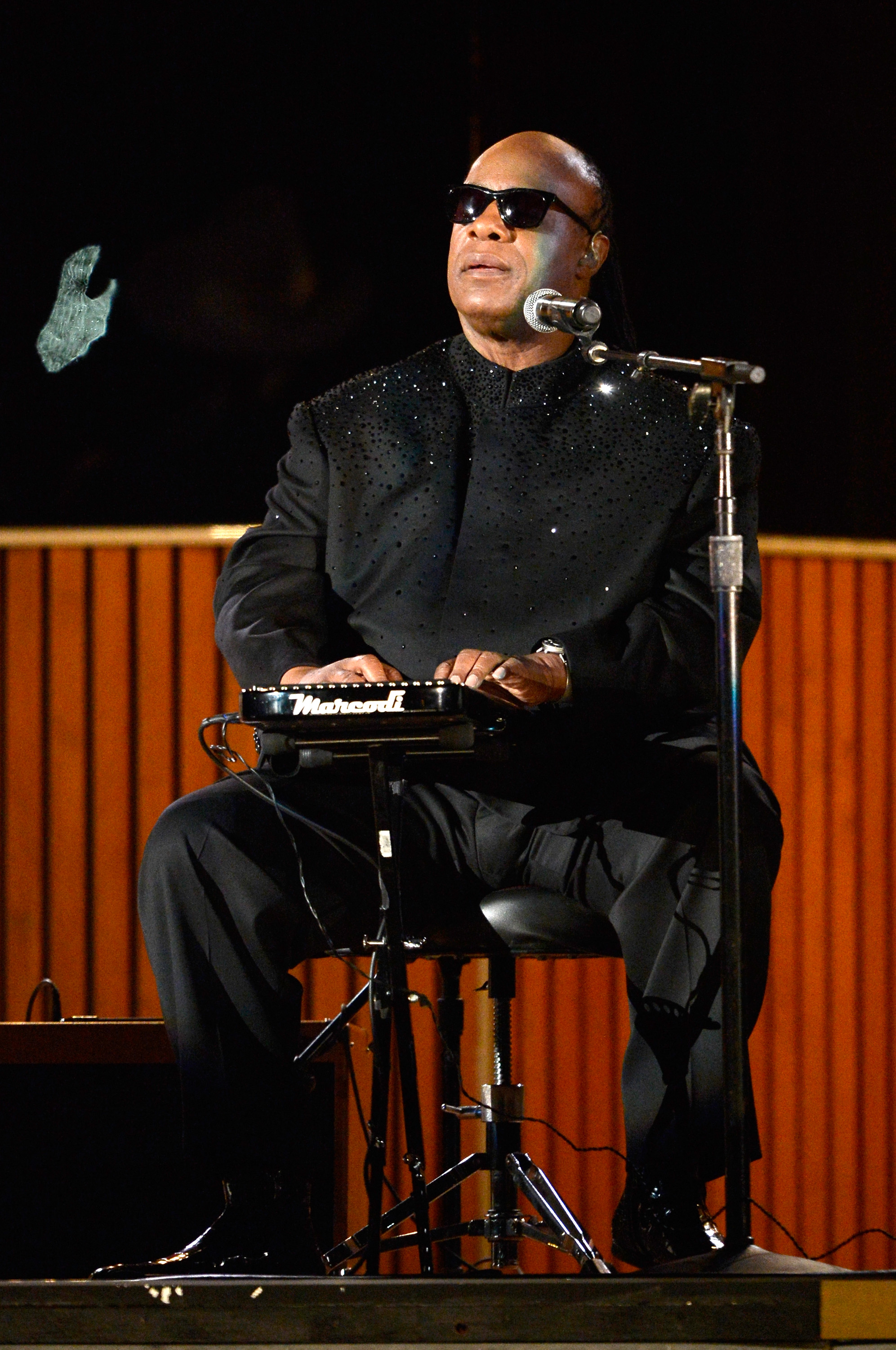 Stevie Wonder at the  Grammy Awards 2014