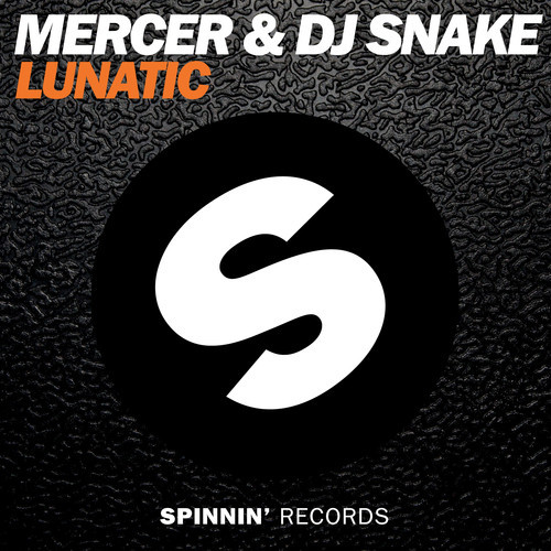 Mercer and DJ Snake Lunatic