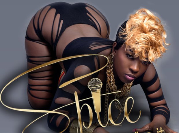 Spice – So Mi Like It