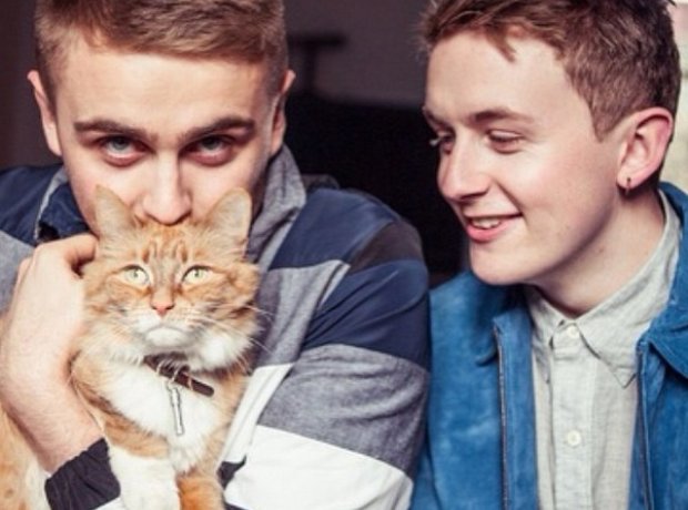 Disclosure With Cat