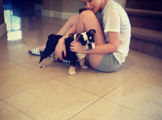 Iggy Azalea dog