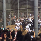 Chris Brown performing at celebrity kickball match