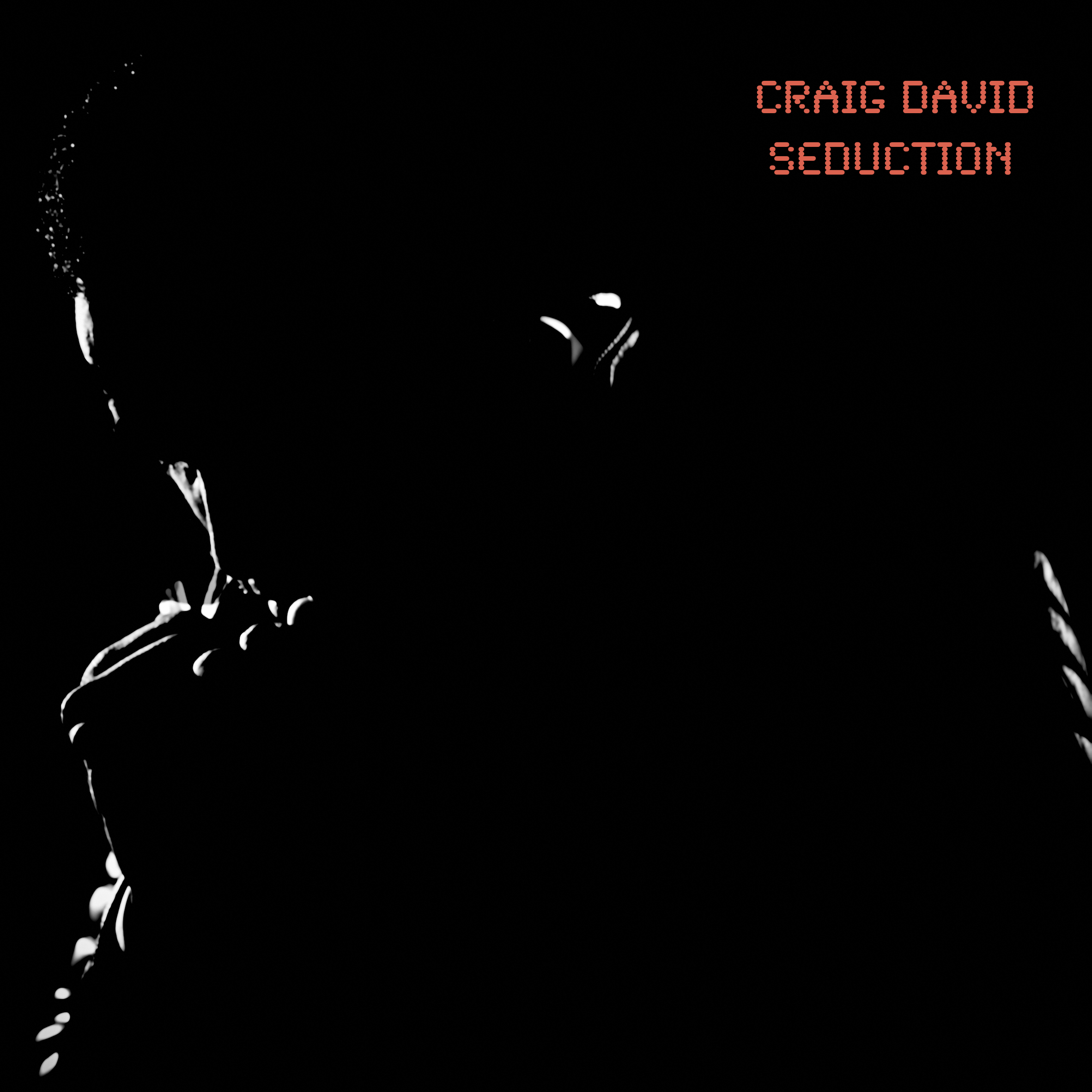 Craig David Seduction