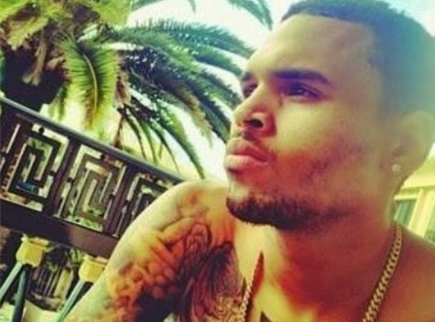 Chris Brown topless