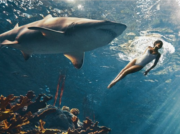 Rihanna swimming with sharks Harpers Bazaar