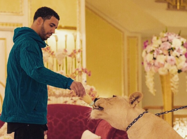 Drake feeding dog