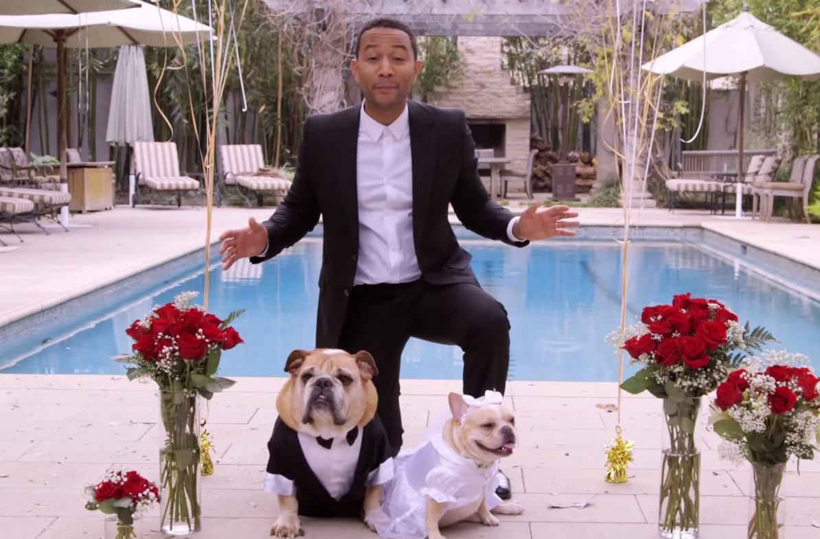 John Legend Dogs Wedding