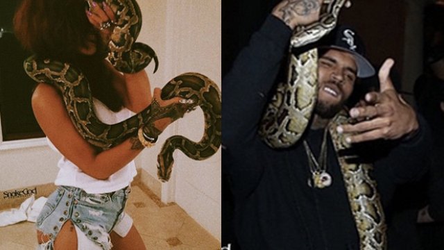 Rihanna Chris Brown Snakes