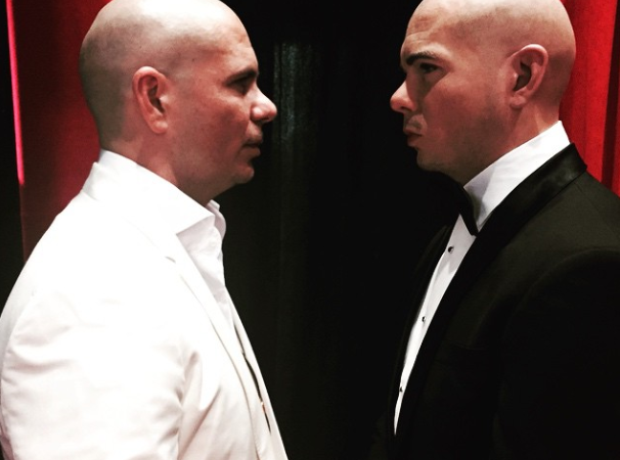 Pitbull Madame Tussauds