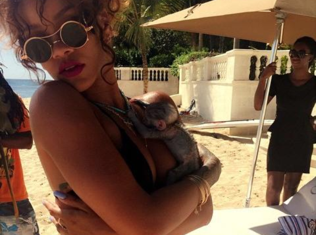 Rihanna holds monkey