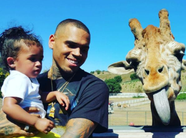 Chris Brown Giraffe