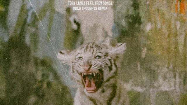 Tory Lanez and Trey Songz 'Wild Thoughts' Remix