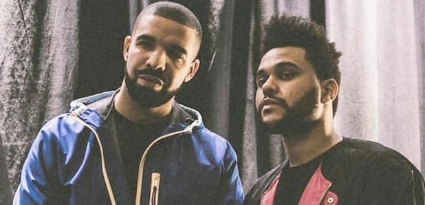 ovoxo twitter header