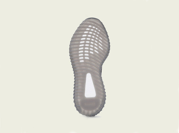 beluga v2 price