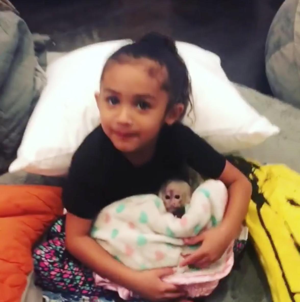 Chris Brown Royalty Monkey